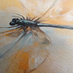 Animals 003 Canvas Art 90 x 60 cm / Stretched on hidden frame