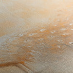 Animals 026 Canvas Art 90 x 60 cm / Stretched on hidden frame