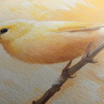 Animals 034 Canvas Art 90 x 60 cm / Stretched on hidden frame