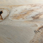 Animals 055 Canvas Art 90 x 60 cm / Stretched on hidden frame