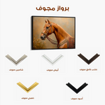 Horses 062 Canvas Art 90 x 60 cm / Stretched on hidden frame