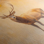 Animals 065 Canvas Art 90 x 60 cm / Stretched on hidden frame