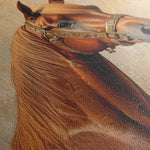 Horses 072 Canvas Art 90 x 60 cm / Stretched on hidden frame