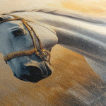 Horses 085 Canvas Art 90 x 60 cm / Stretched on hidden frame