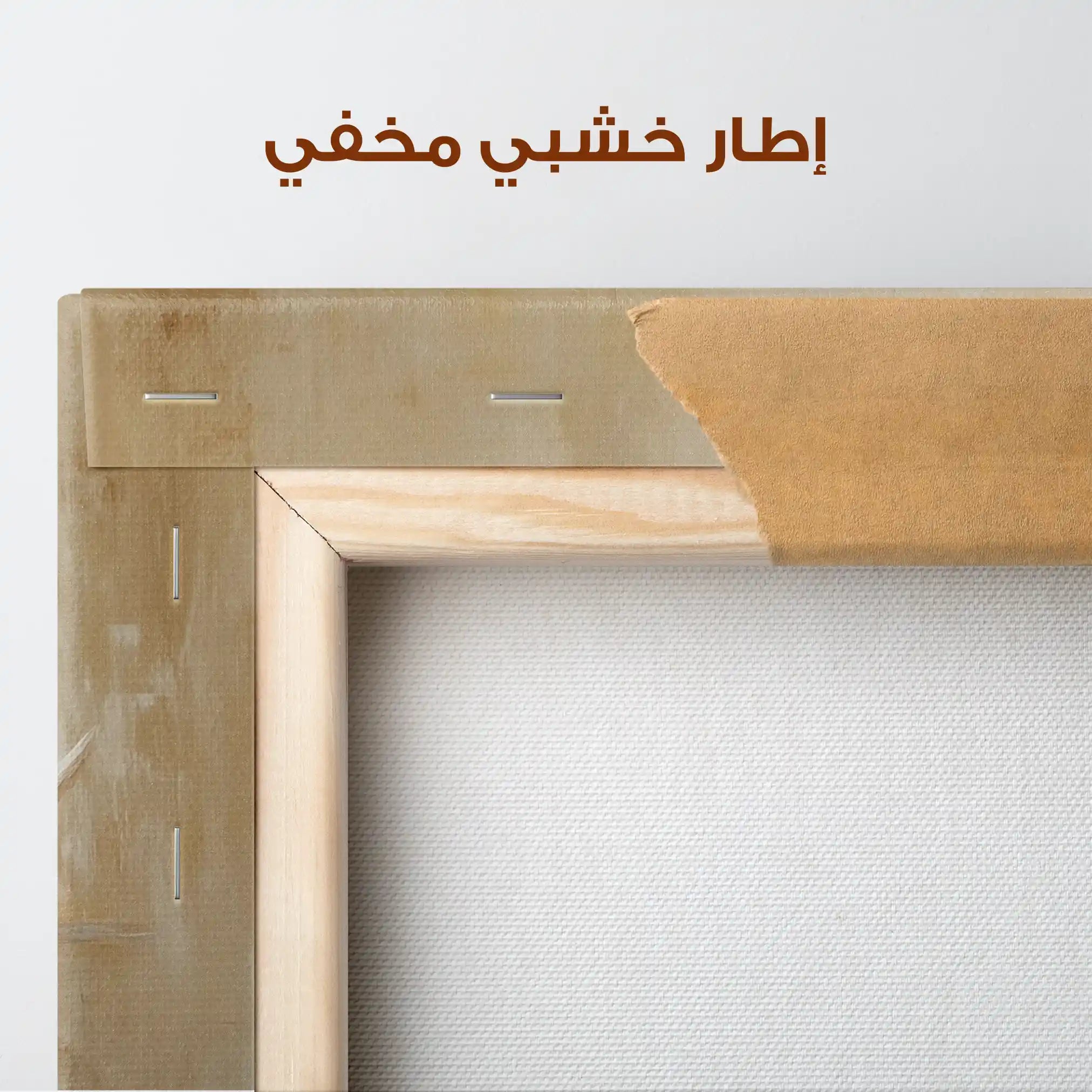 Animals 100 Canvas Art 90 x 60 cm / Stretched on hidden frame