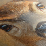 Animals 102 Canvas Art 90 x 60 cm / Stretched on hidden frame