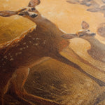 Animals 112 Canvas Art 90 x 60 cm / Stretched on hidden frame