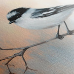 Animals 136 Canvas Art 90 x 60 cm / Stretched on hidden frame