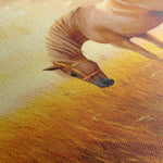 Horses 164 Canvas Art 90 x 60 cm / Stretched on hidden frame