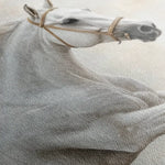 Horses 174 Canvas Art 90 x 60 cm / Stretched on hidden frame