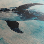 Animals 178 Canvas Art 90 x 60 cm / Stretched on hidden frame