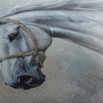 Horses 178 Canvas Art 90 x 60 cm / Stretched on hidden frame