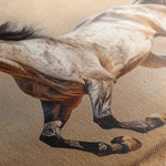 Horses 179 Canvas Art 90 x 60 cm / Stretched on hidden frame