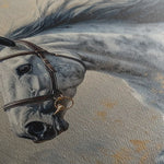 Horses 183 Canvas Art 90 x 60 cm / Stretched on hidden frame