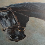 Horses 185 Canvas Art 90 x 60 cm / Stretched on hidden frame