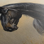 Horses 193 Canvas Art 90 x 60 cm / Stretched on hidden frame