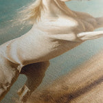 Horses 223 Canvas Art 90 x 60 cm / Stretched on hidden frame