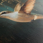 Animals 226 Canvas Art 90 x 60 cm / Stretched on hidden frame