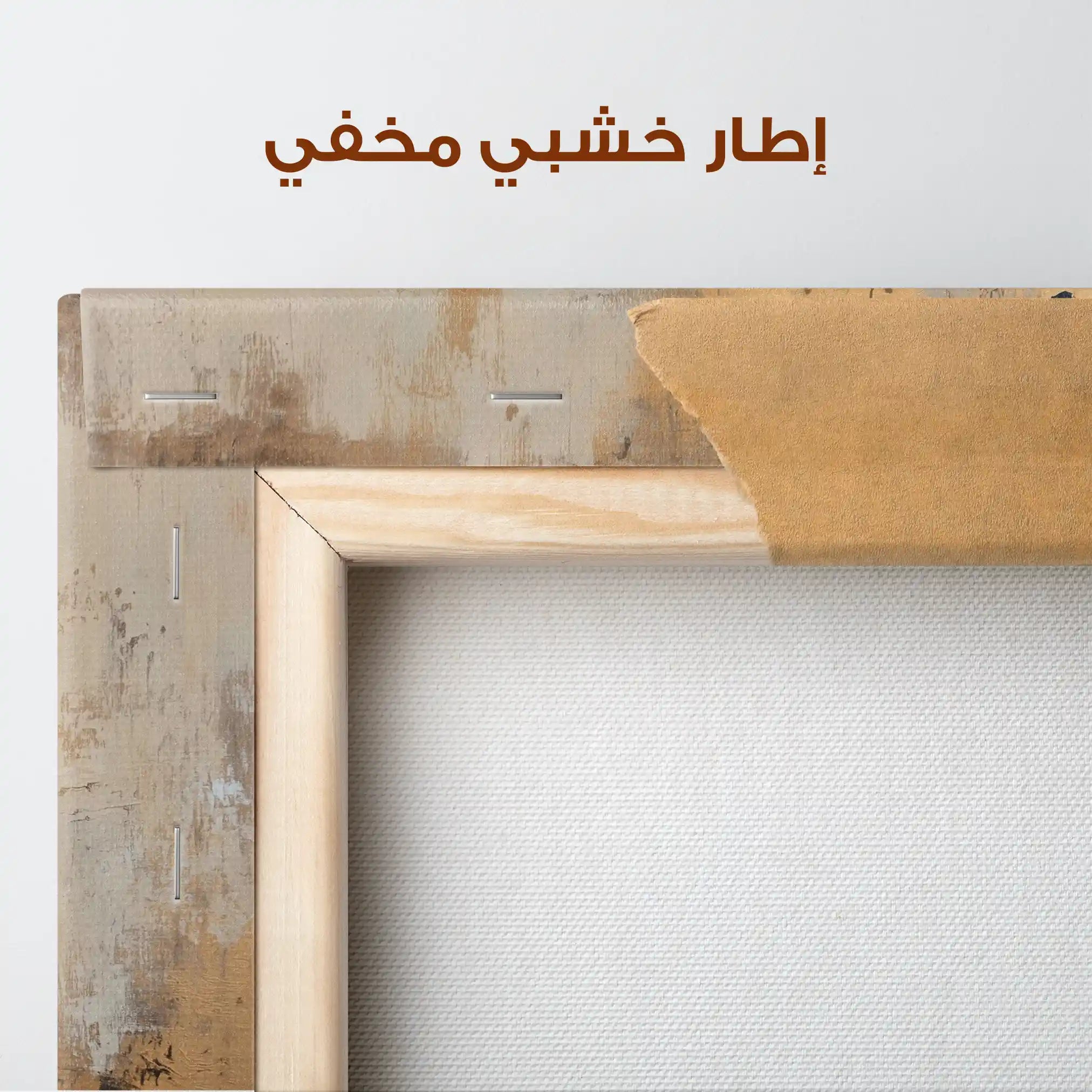 Animals 228 Canvas Art 90 x 60 cm / Stretched on hidden frame