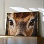 Animals 230 Canvas Art 90 x 60 cm / Stretched on hidden frame