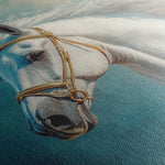 Horses 231 Canvas Art 90 x 60 cm / Stretched on hidden frame