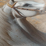 Horses 242 Canvas Art 90 x 60 cm / Stretched on hidden frame