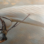 Horses 243 Canvas Art 90 x 60 cm / Stretched on hidden frame