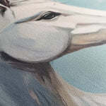 Horses 269 Canvas Art 90 x 60 cm / Stretched on hidden frame