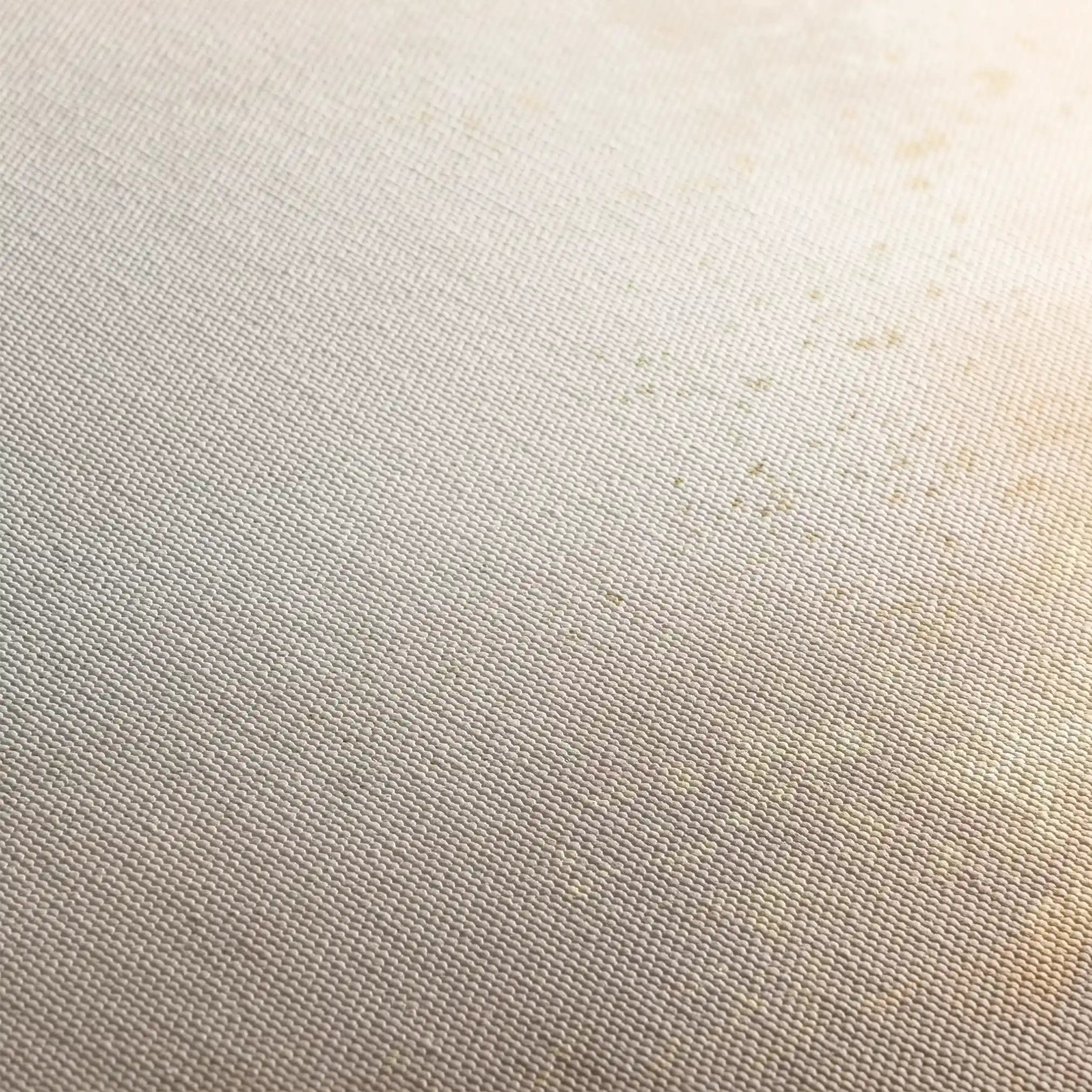 Abstract 314 Canvas Art 60 x 40 cm / Stretched on hidden frame