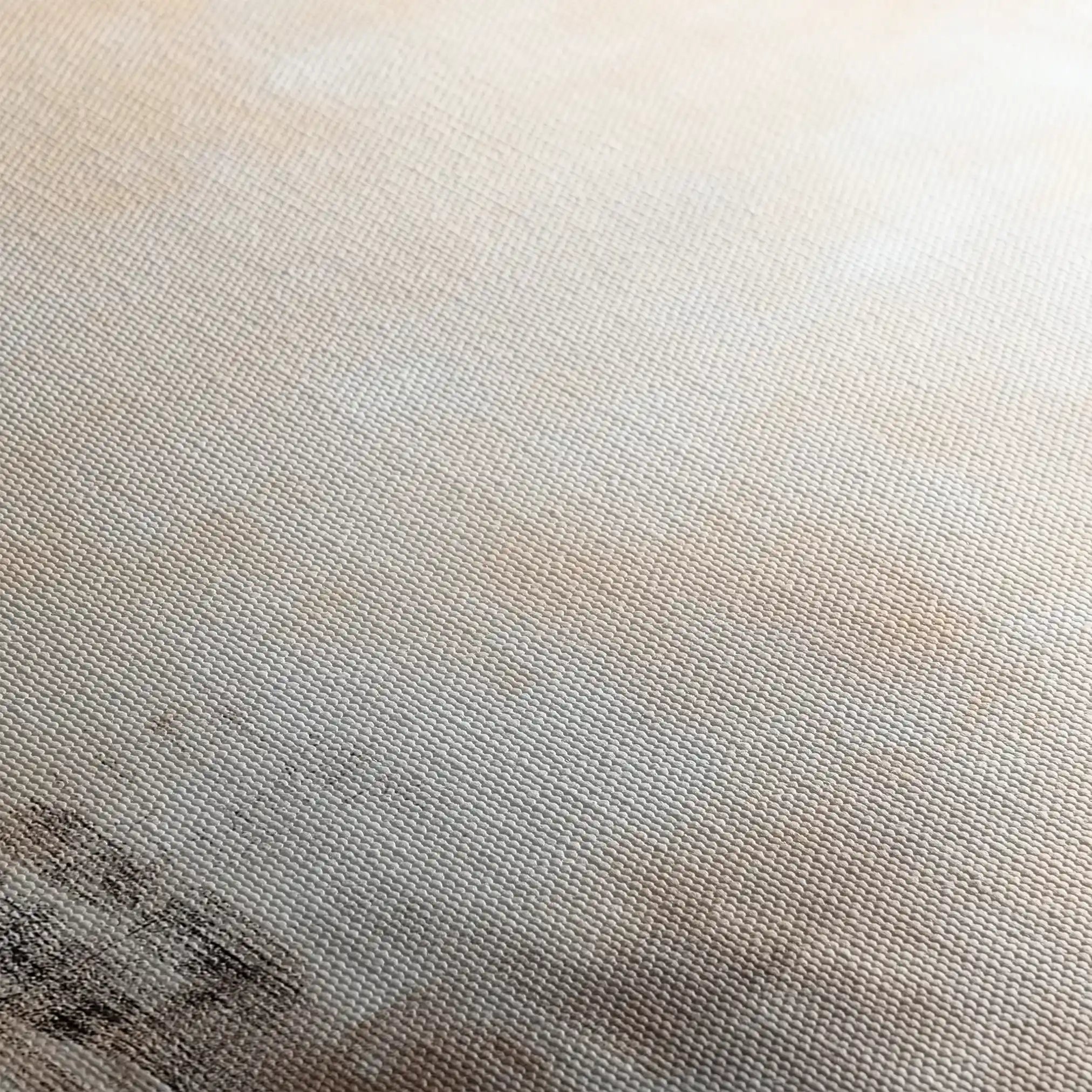 Abstract 356 Canvas Art 60 x 40 cm / Stretched on hidden frame