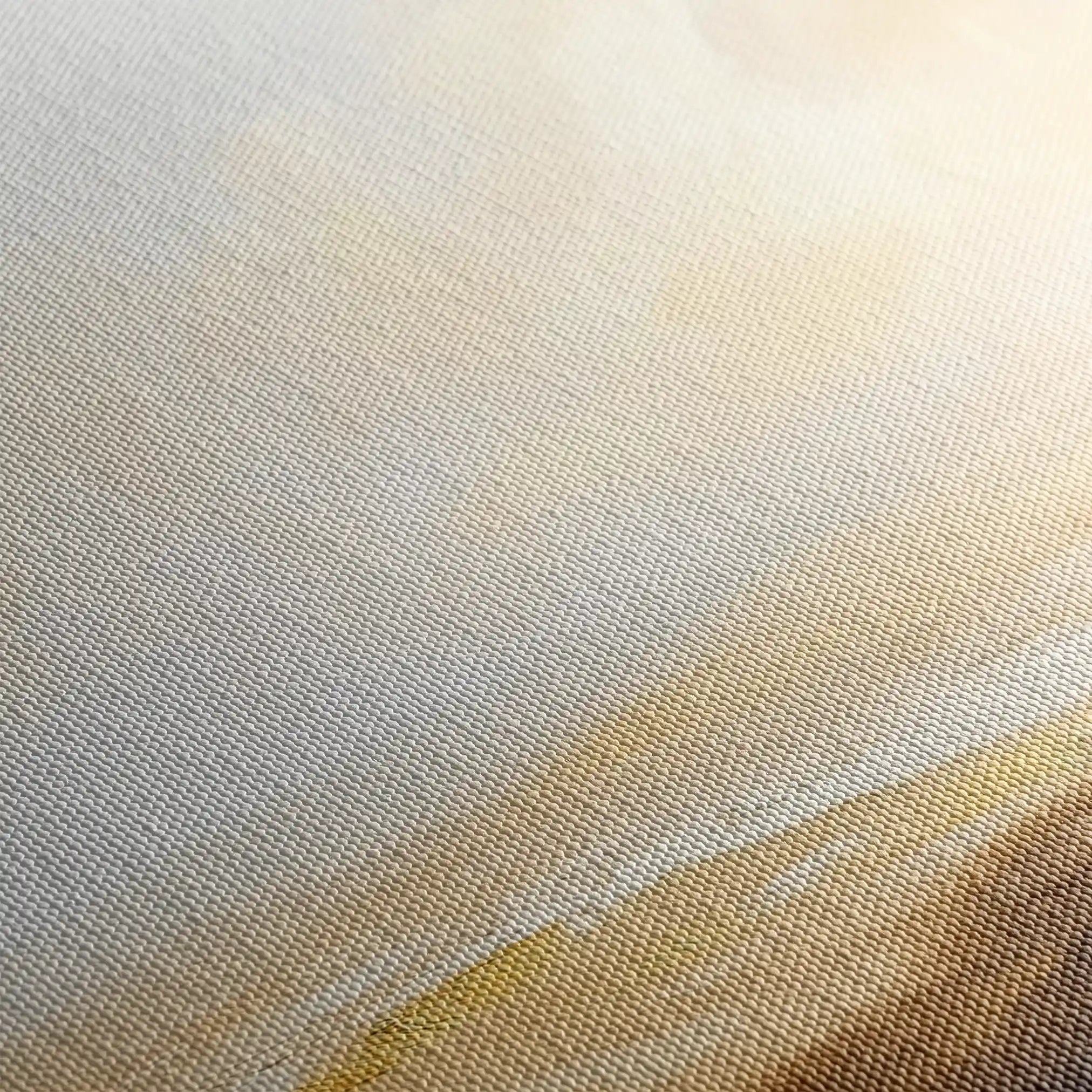 Abstract 434 Canvas Art 60 x 40 cm / Stretched on hidden frame