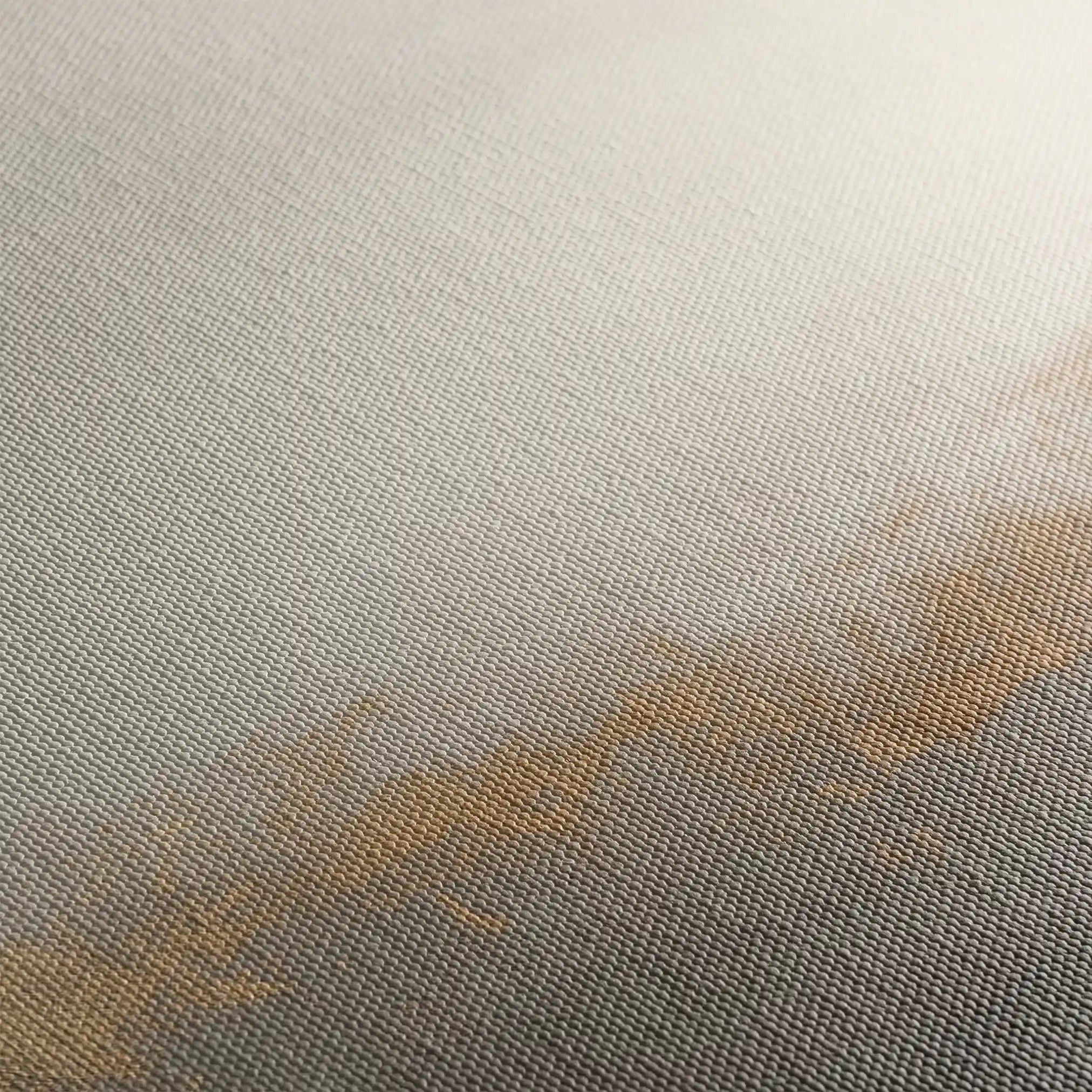 Abstract 523 Canvas Art 60 x 40 cm / Stretched on hidden frame