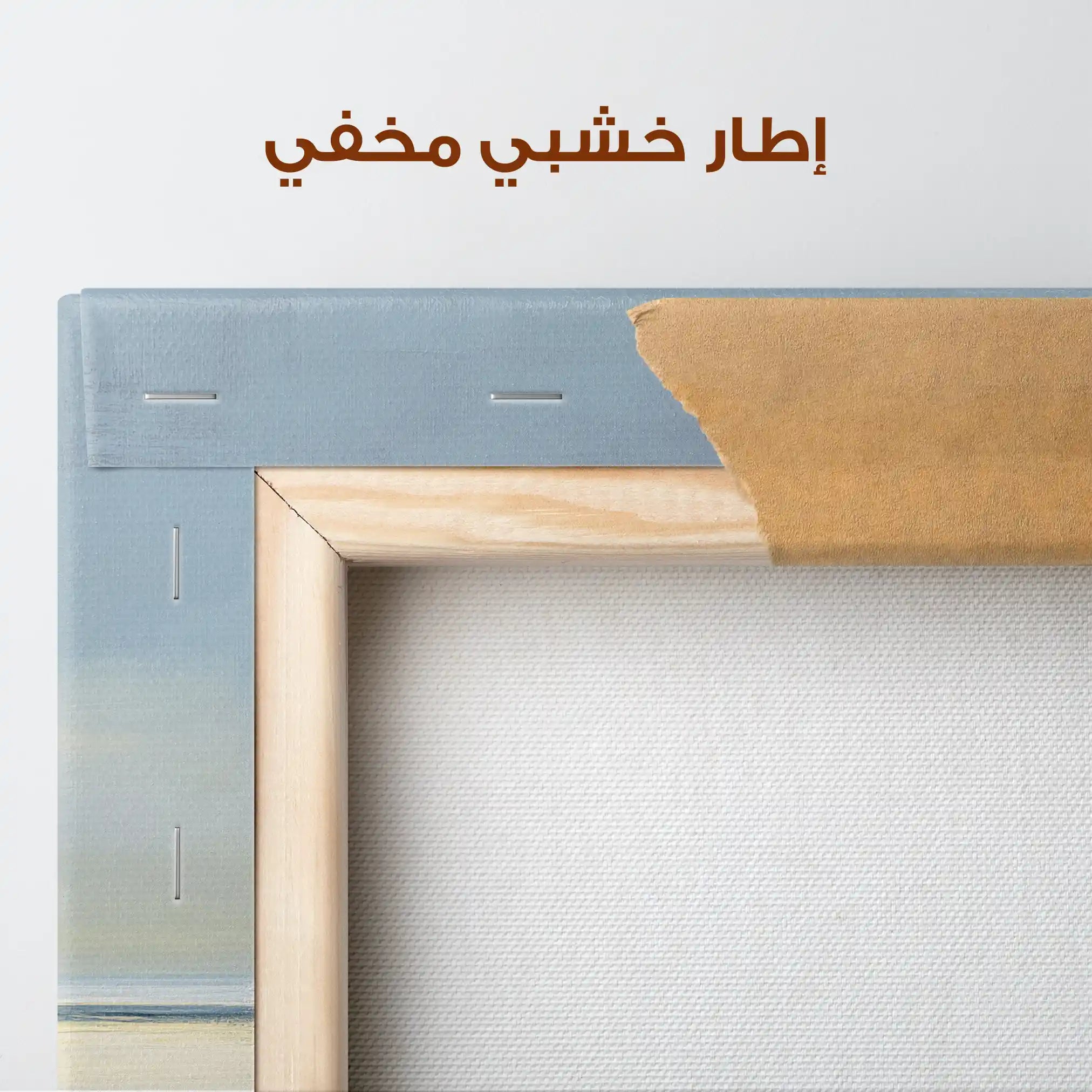 Abstract 801 Canvas Art 60 x 60 cm / Stretched on hidden frame