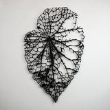 مجموعة لوحات ورق الخريف من المعدن