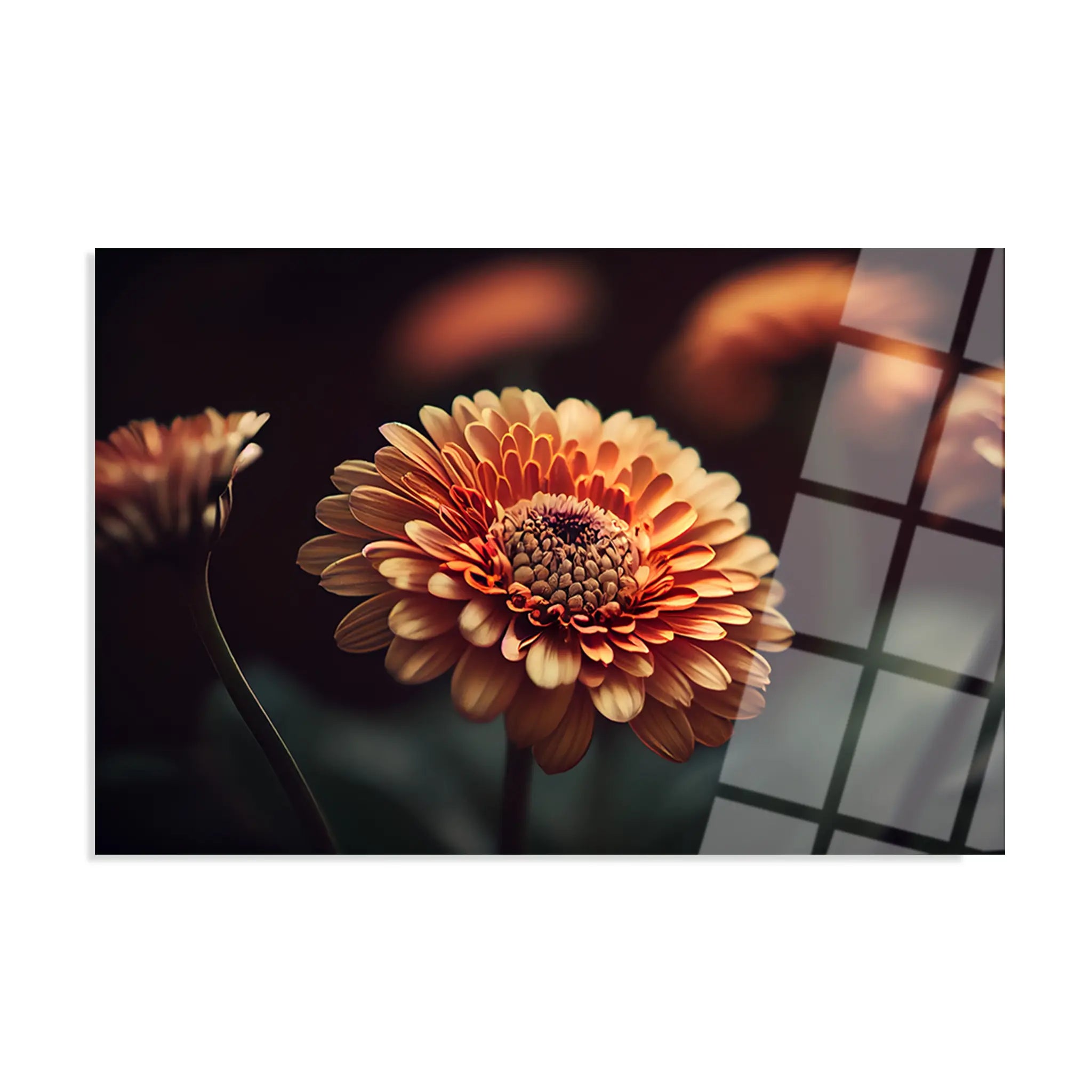 Floral Glass Wall Art GAD049-F 90 x 60 cm