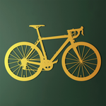 Sporty Bicycle Metal Wall Art 67 × 39 cm / Black