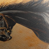 Horses 033 Canvas Art 90 x 60 cm / Stretched on hidden frame