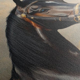 Horses 063 Canvas Art 90 x 60 cm / Stretched on hidden frame