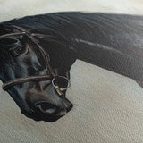 Horses 140 Canvas Art 90 x 60 cm / Stretched on hidden frame