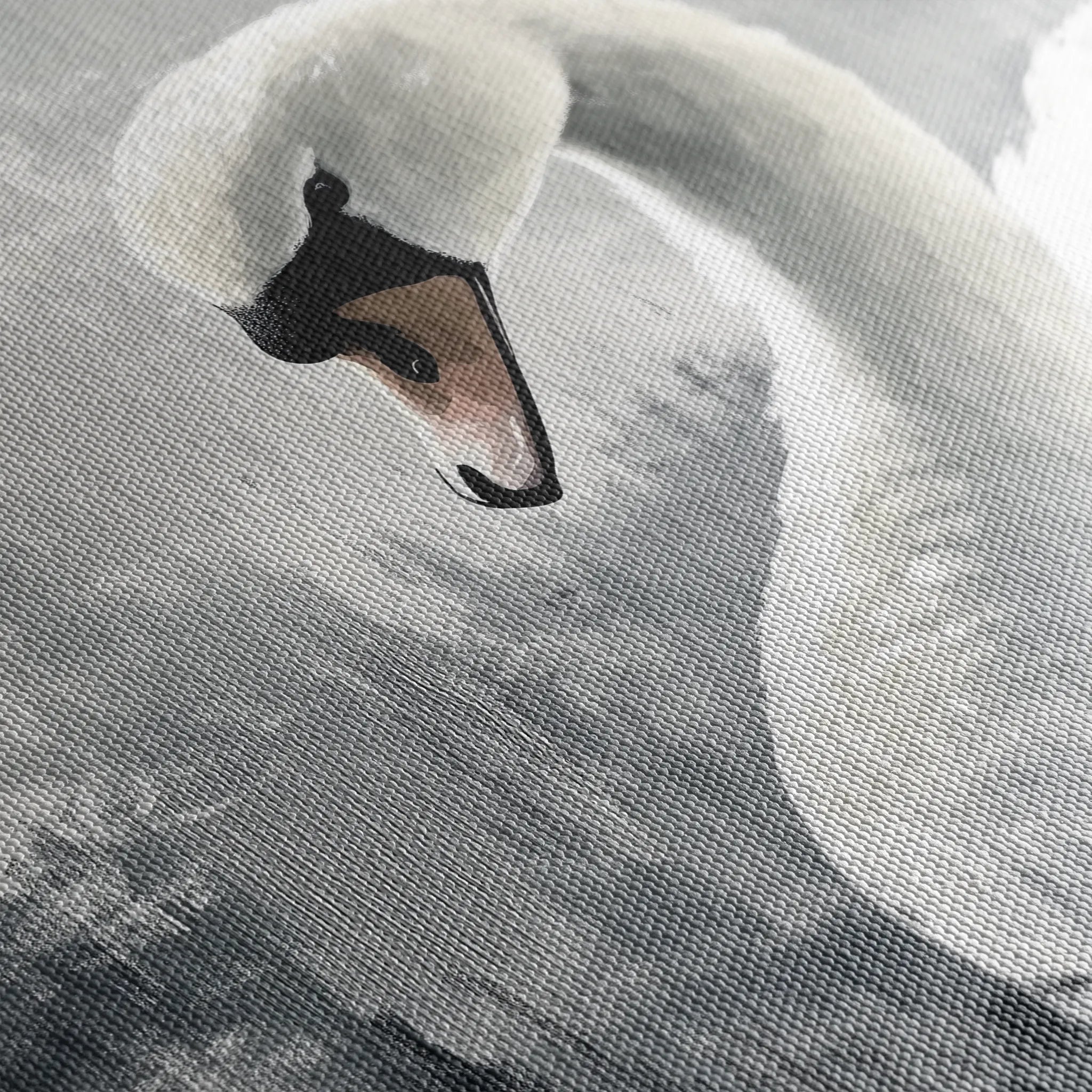 Animals Canvas Wall Art WAD191-AN 90 x 60 cm / Stretched on hidden frame