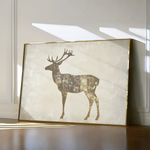 Animals 204 Canvas Art 90 x 60 cm / Stretched on hidden frame