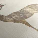 Animals 204 Canvas Art 90 x 60 cm / Stretched on hidden frame