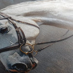 Horses 216 Canvas Art 90 x 60 cm / Stretched on hidden frame