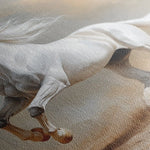 Horses 229 Canvas Art 90 x 60 cm / Stretched on hidden frame