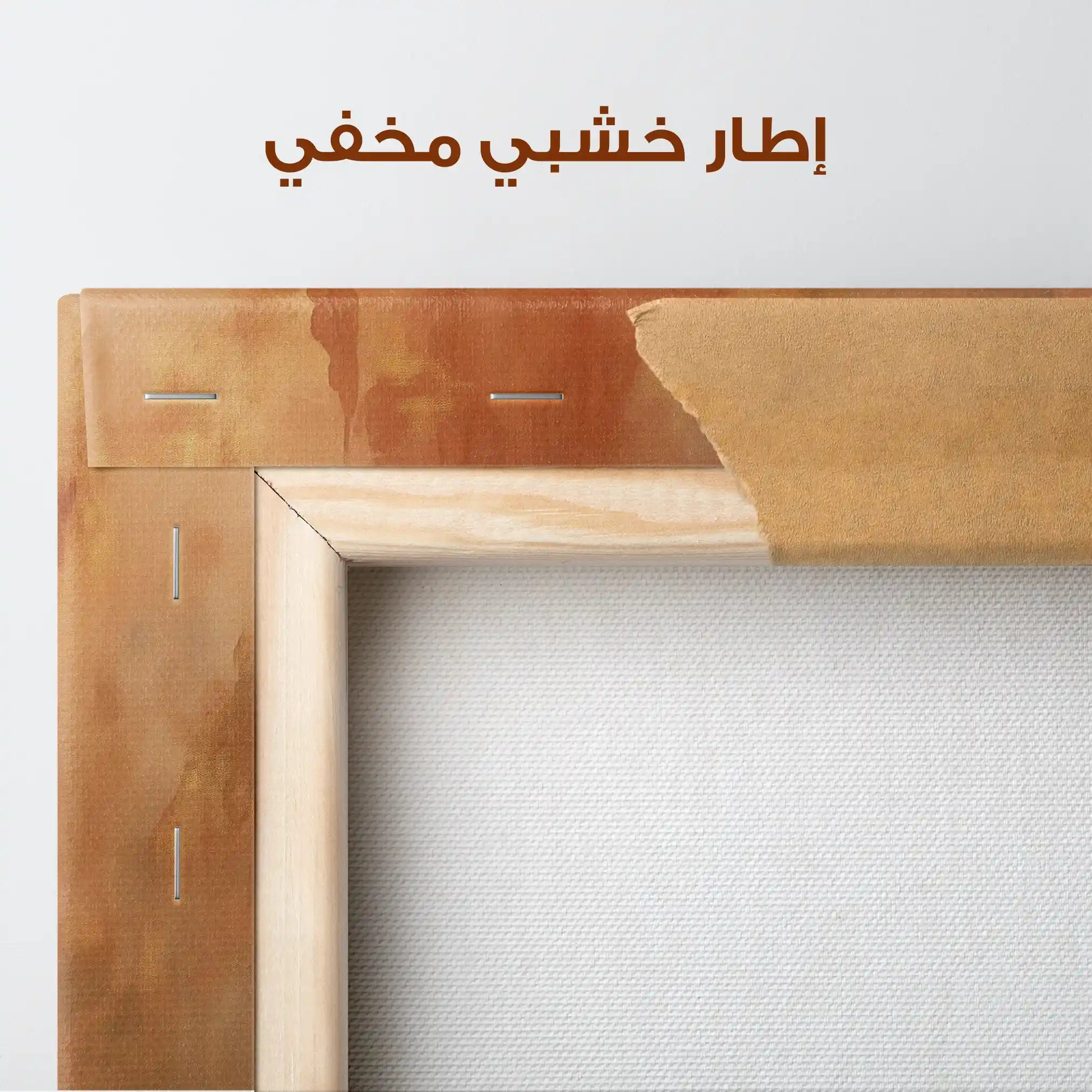 Abstract 351 Canvas Art 60 x 40 cm / Stretched on hidden frame
