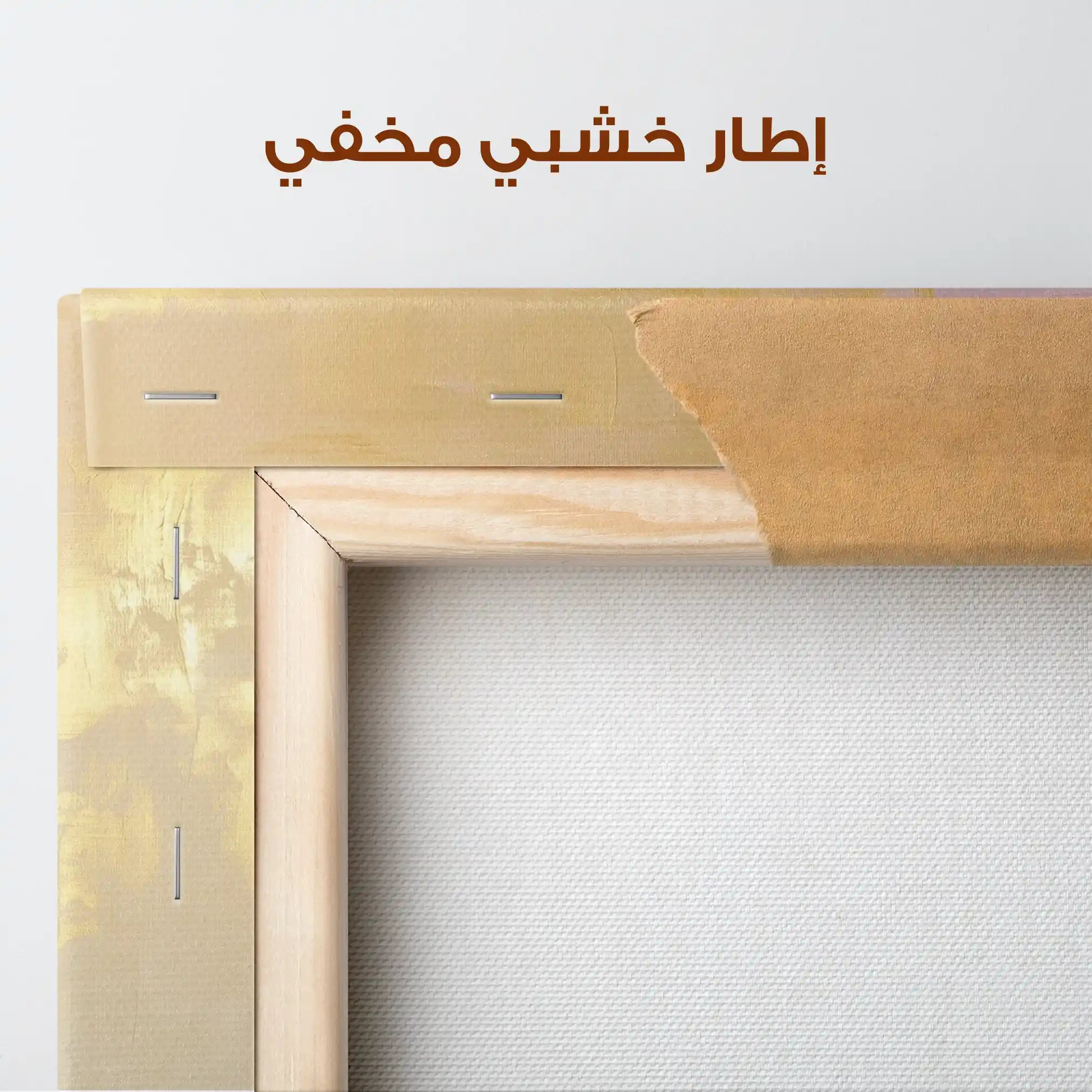 Abstract 701 Canvas Art 60 x 40 cm / Stretched on hidden frame